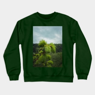 Young fir sprouts Crewneck Sweatshirt